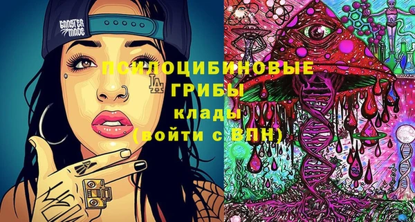 ПСИЛОЦИБИНОВЫЕ ГРИБЫ Арсеньев
