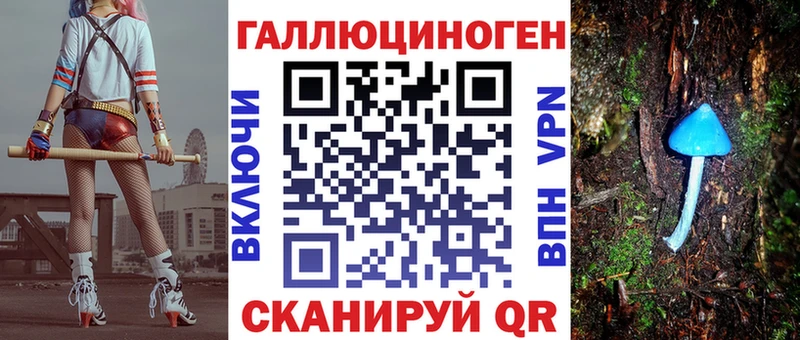 где купить   Закаменск  Псилоцибиновые грибы GOLDEN TEACHER 